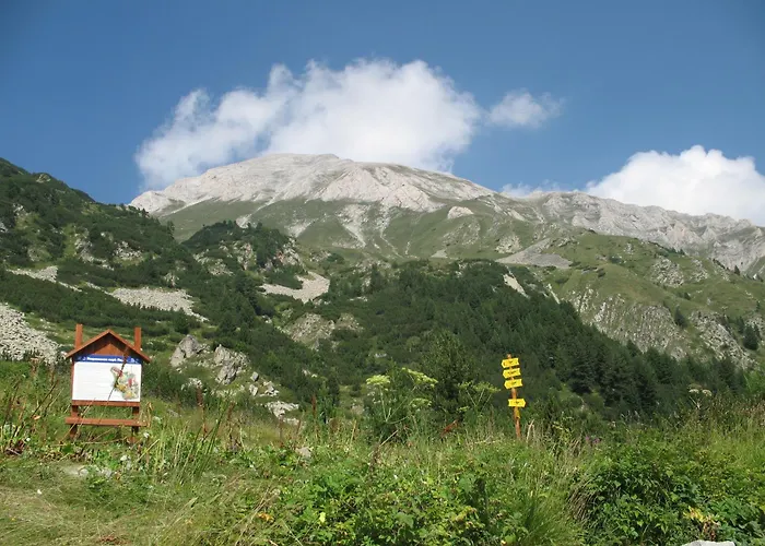 Dumanov Bansko